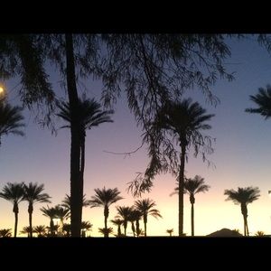 Meet your Posher, Brendan